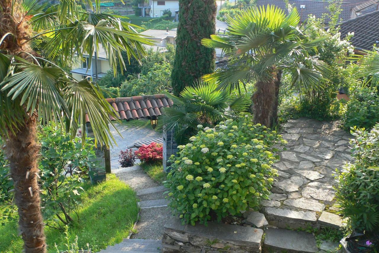 Casa Petra 1 1/2 Zi, Orgnana 83 Apartment Gambarogno ภายนอก รูปภาพ