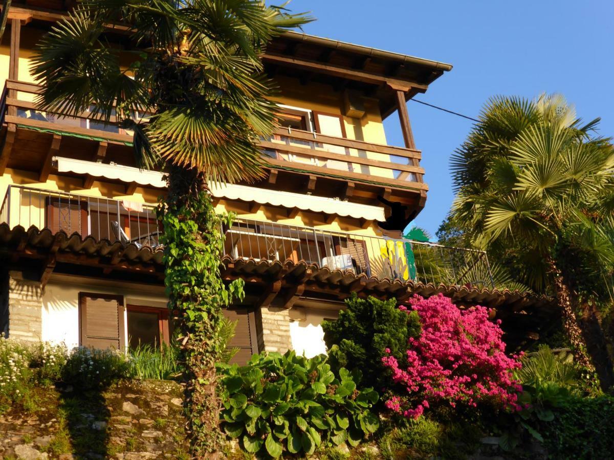 Casa Petra 1 1/2 Zi, Orgnana 83 Apartment Gambarogno ภายนอก รูปภาพ