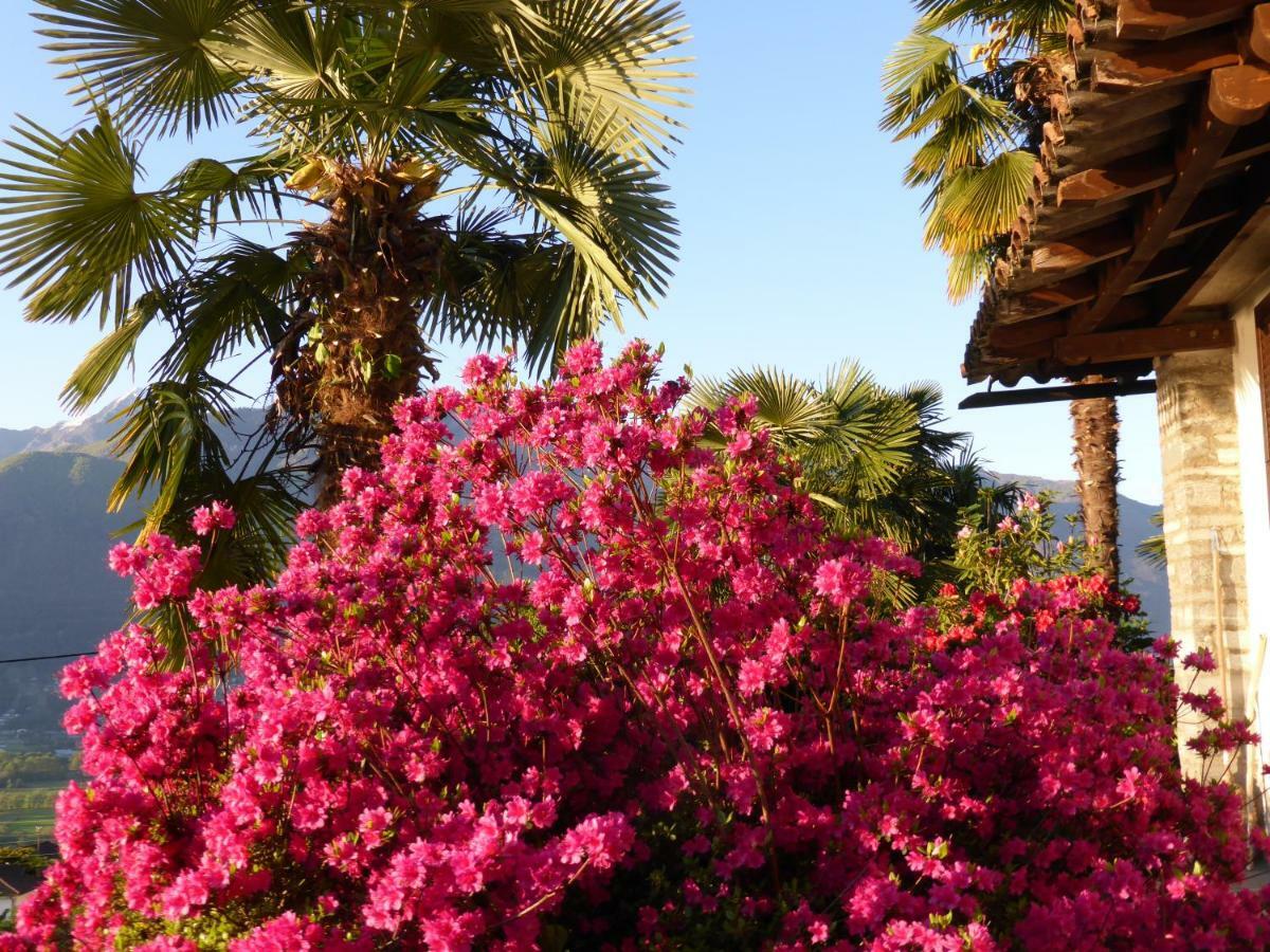 Casa Petra 1 1/2 Zi, Orgnana 83 Apartment Gambarogno ภายนอก รูปภาพ