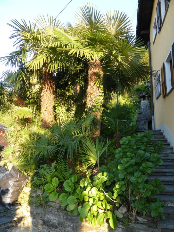 Casa Petra 1 1/2 Zi, Orgnana 83 Apartment Gambarogno ภายนอก รูปภาพ