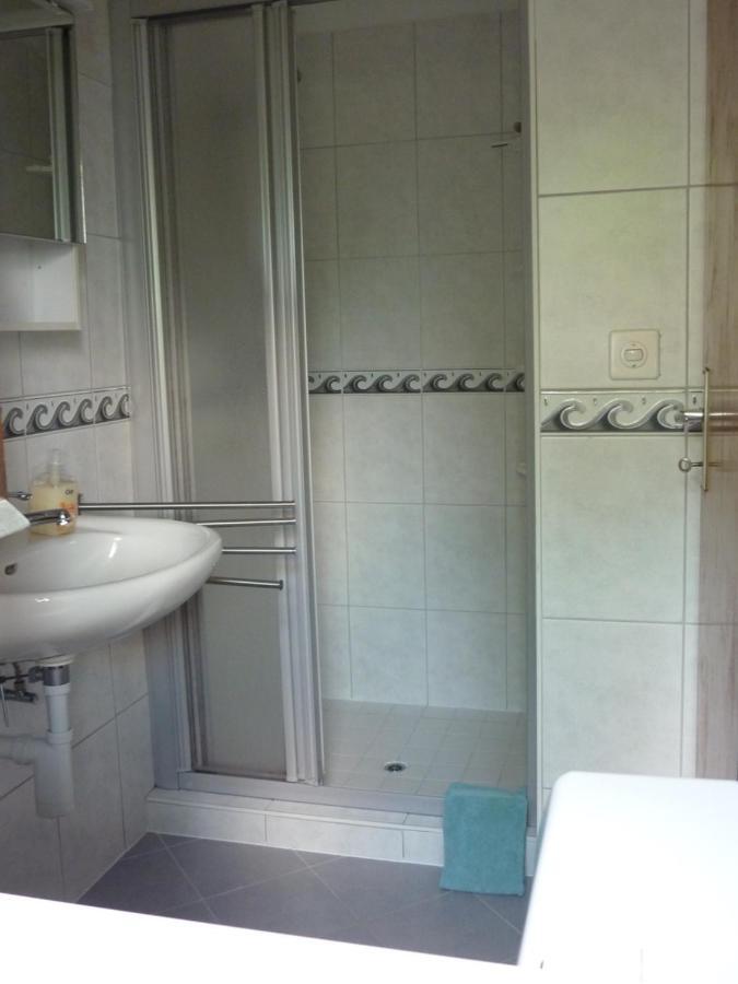 Casa Petra 1 1/2 Zi, Orgnana 83 Apartment Gambarogno ภายนอก รูปภาพ