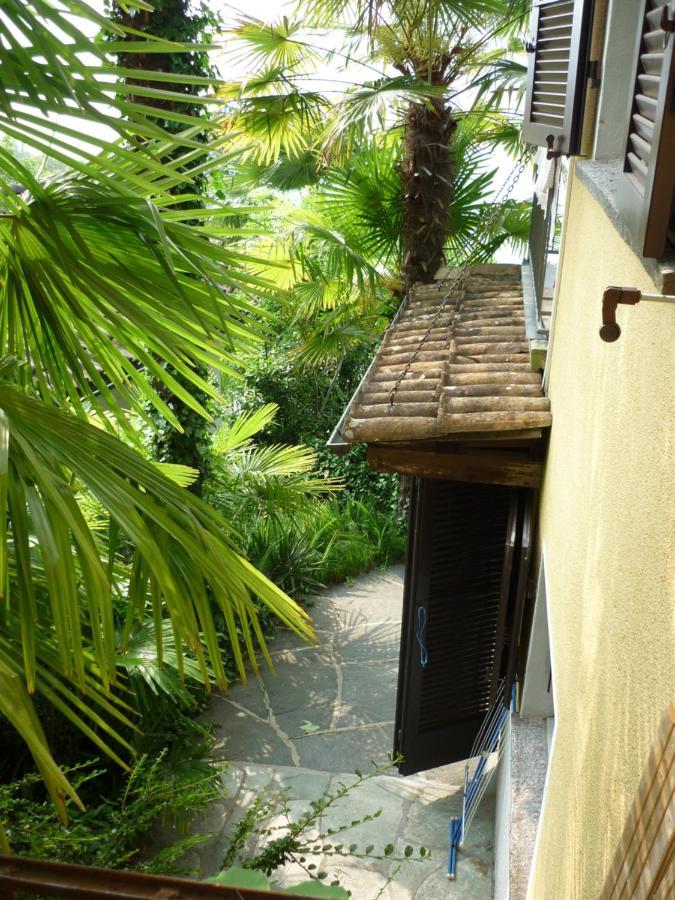 Casa Petra 1 1/2 Zi, Orgnana 83 Apartment Gambarogno ภายนอก รูปภาพ